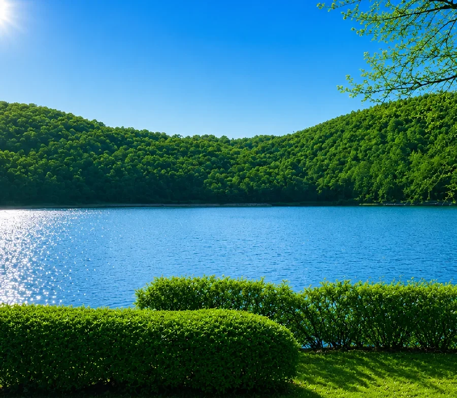 四尾連湖龍雲荘キャンプ場周辺