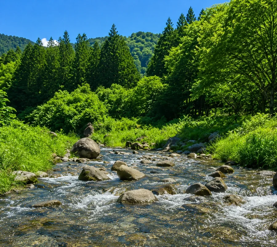 思川細尾橋周辺