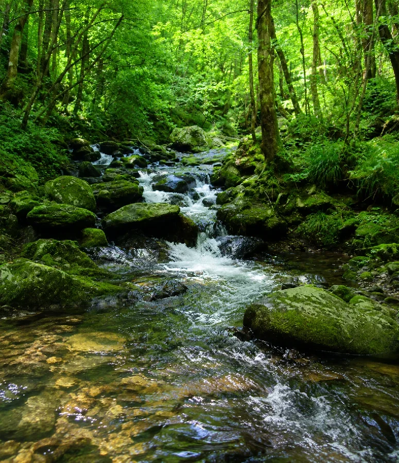 小屋下橋周辺
