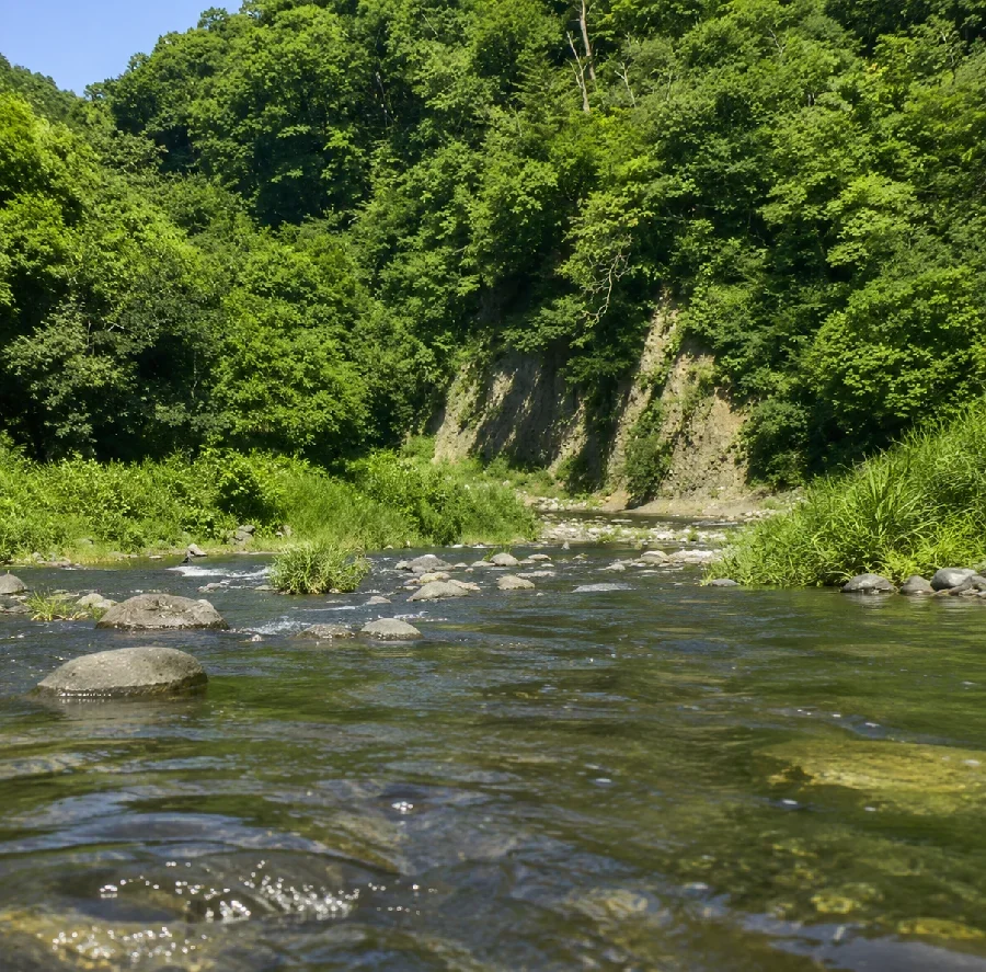 笹子川桂川合流点周辺