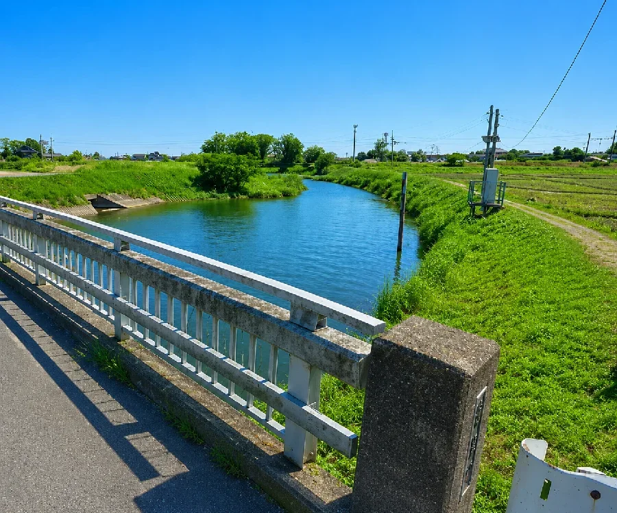 綾瀬川立合橋付近
