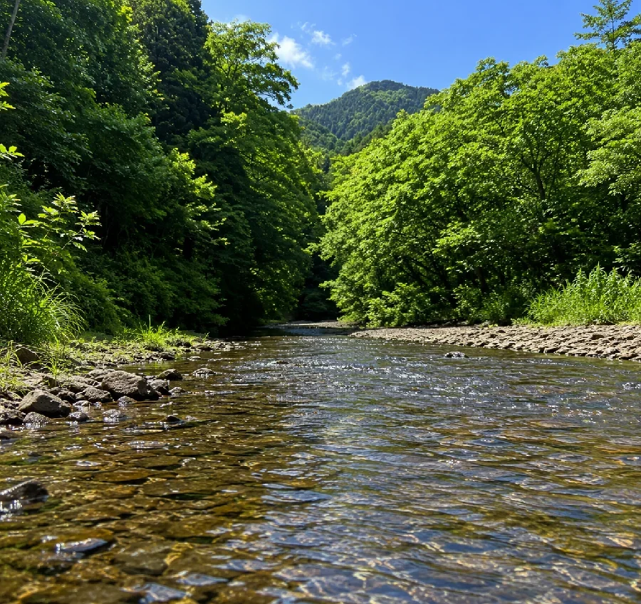 高麗川西吾野駅付近