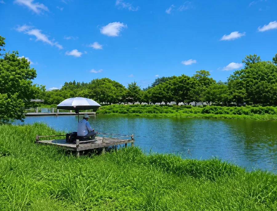 城沼梅林前