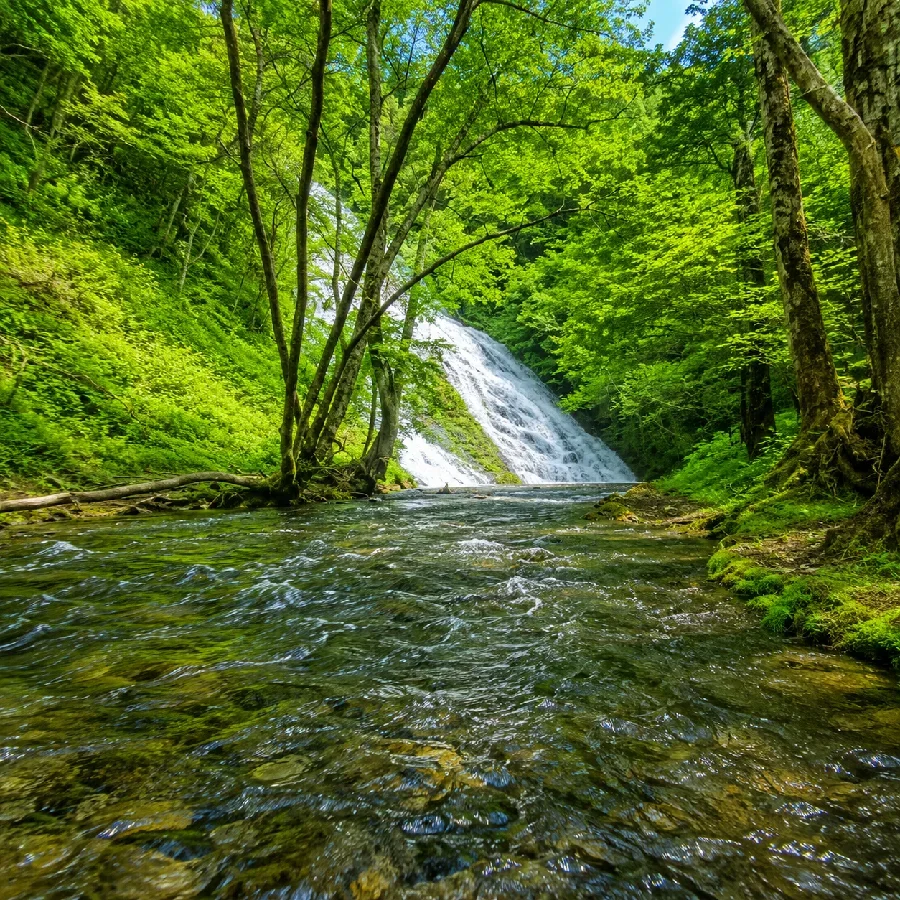 湯川湯滝付近