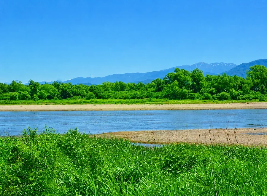 阿賀野川早出川合流点付近