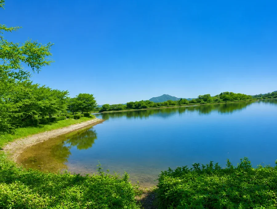 砂沼吉田ワンド