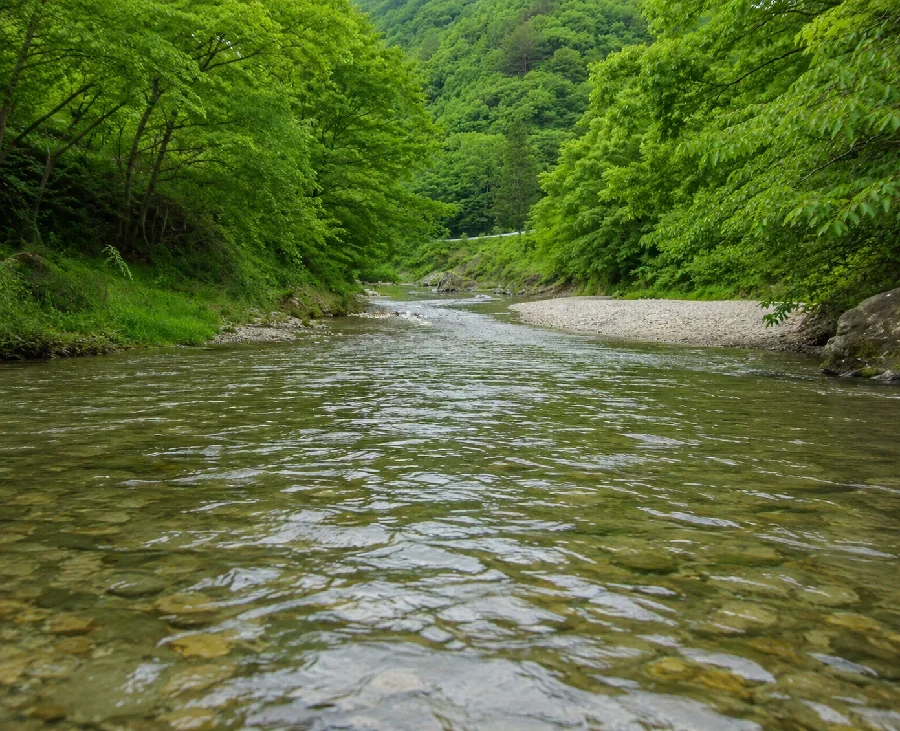 男鹿川芹沢橋周辺