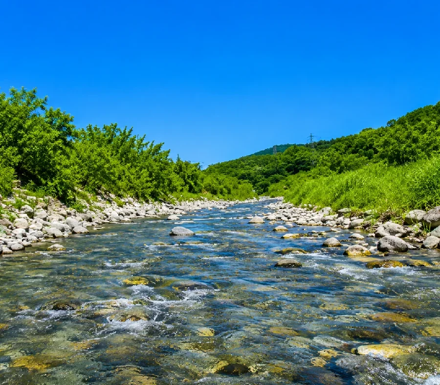 釜無川竹花橋周辺