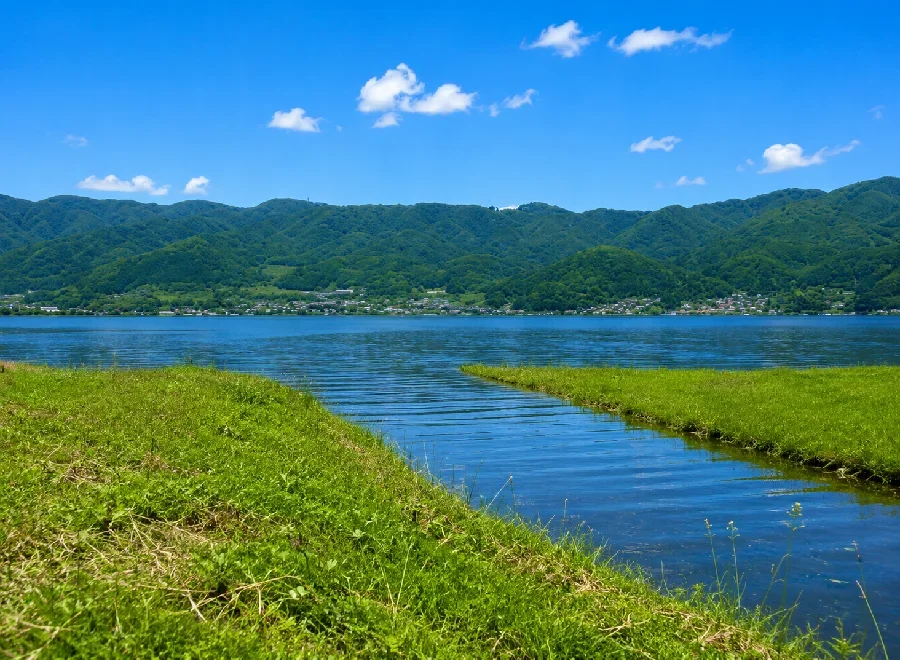 諏訪湖砥川河口