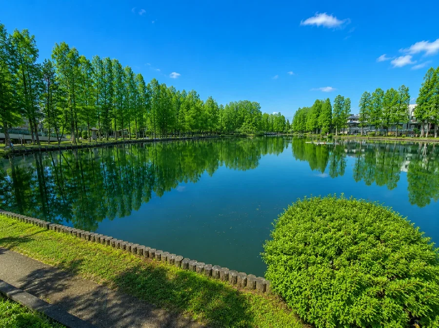 別所沼志木街道側