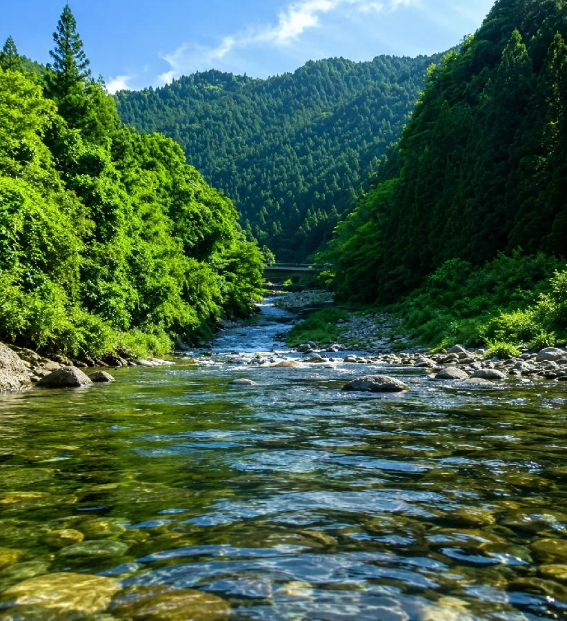 農免橋周辺