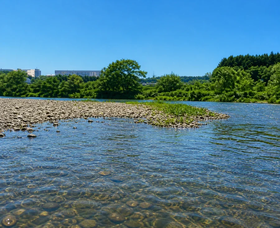 北上川朝日大橋付近