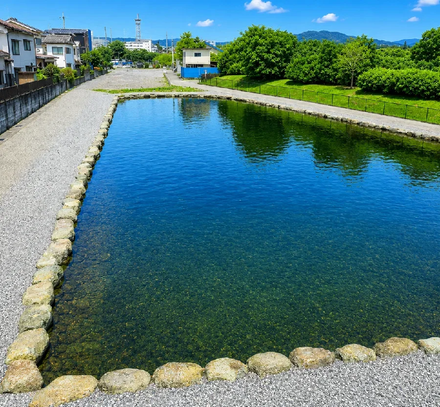 朝霞ガーデンルアー専用池