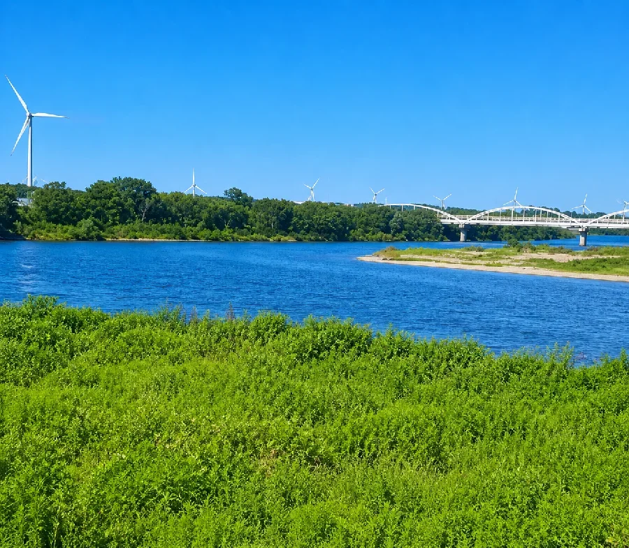 米代新橋付近の米代川