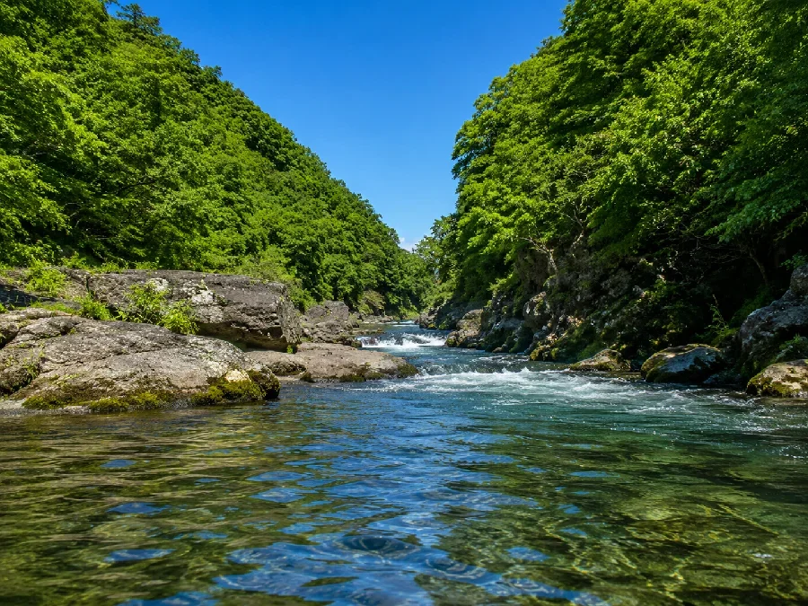 渡良瀬川高津戸峡付近