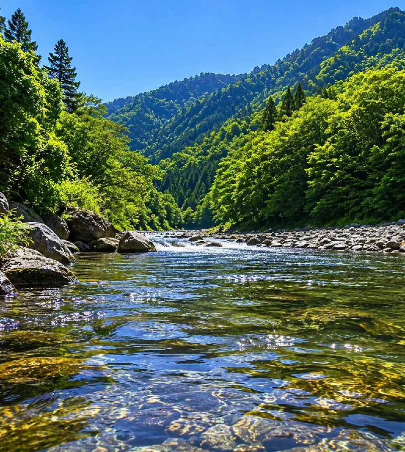寒狭川当貝津川合流点周辺