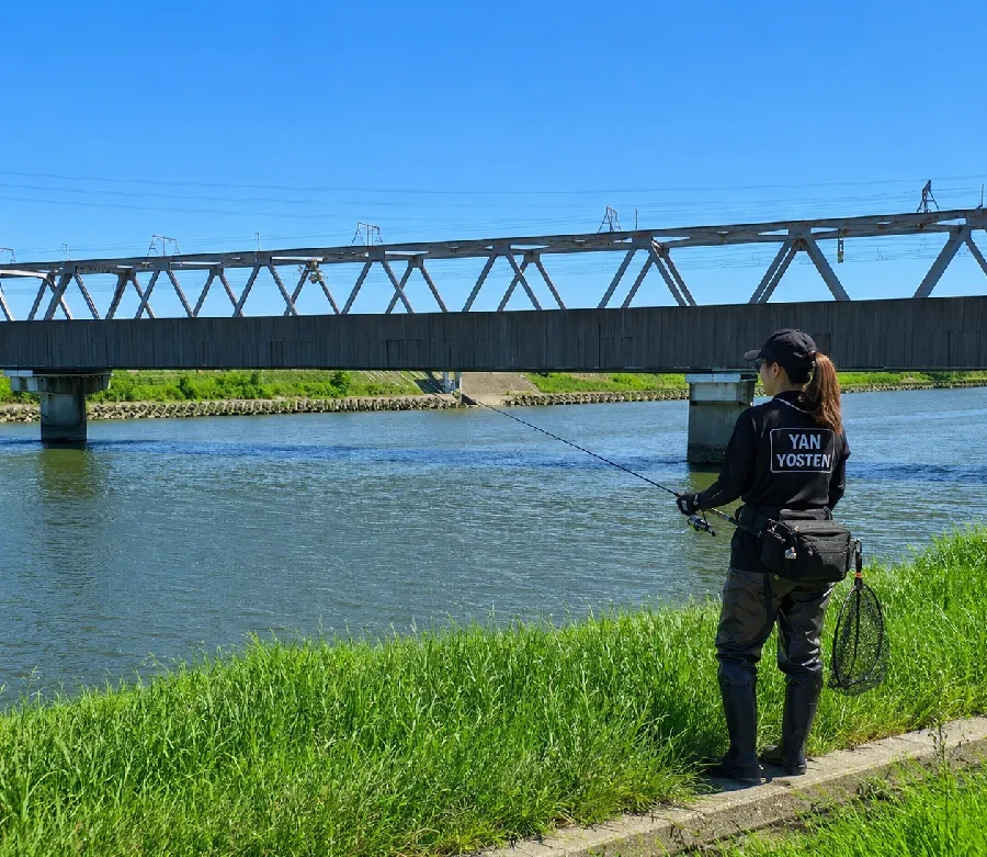 豊川放水路新幹線高架下周辺