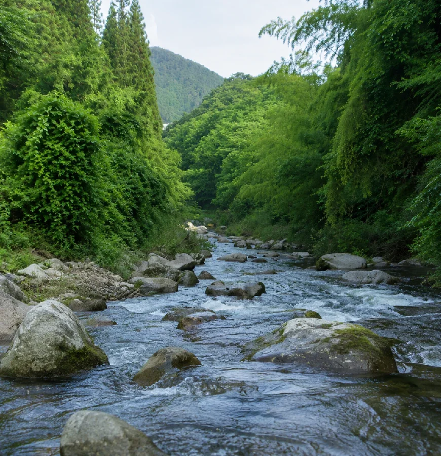 段戸川郡界橋付近