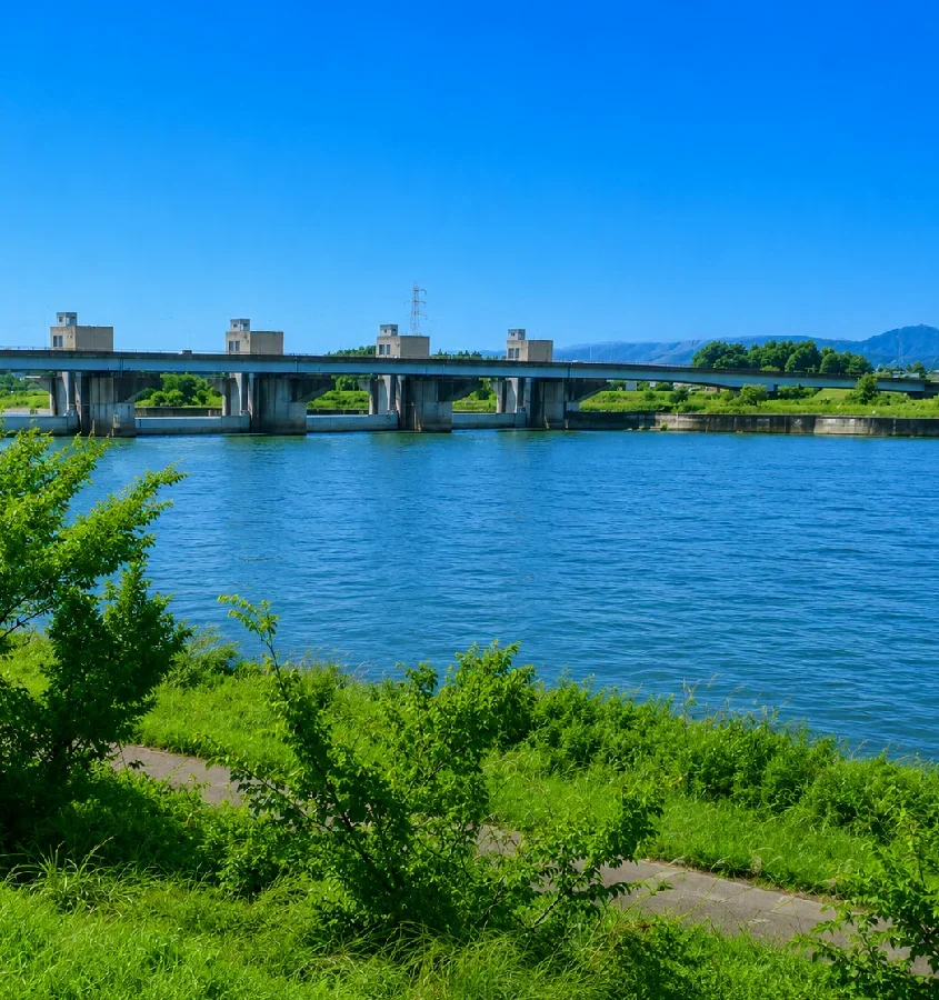 信濃川妙見堰周辺