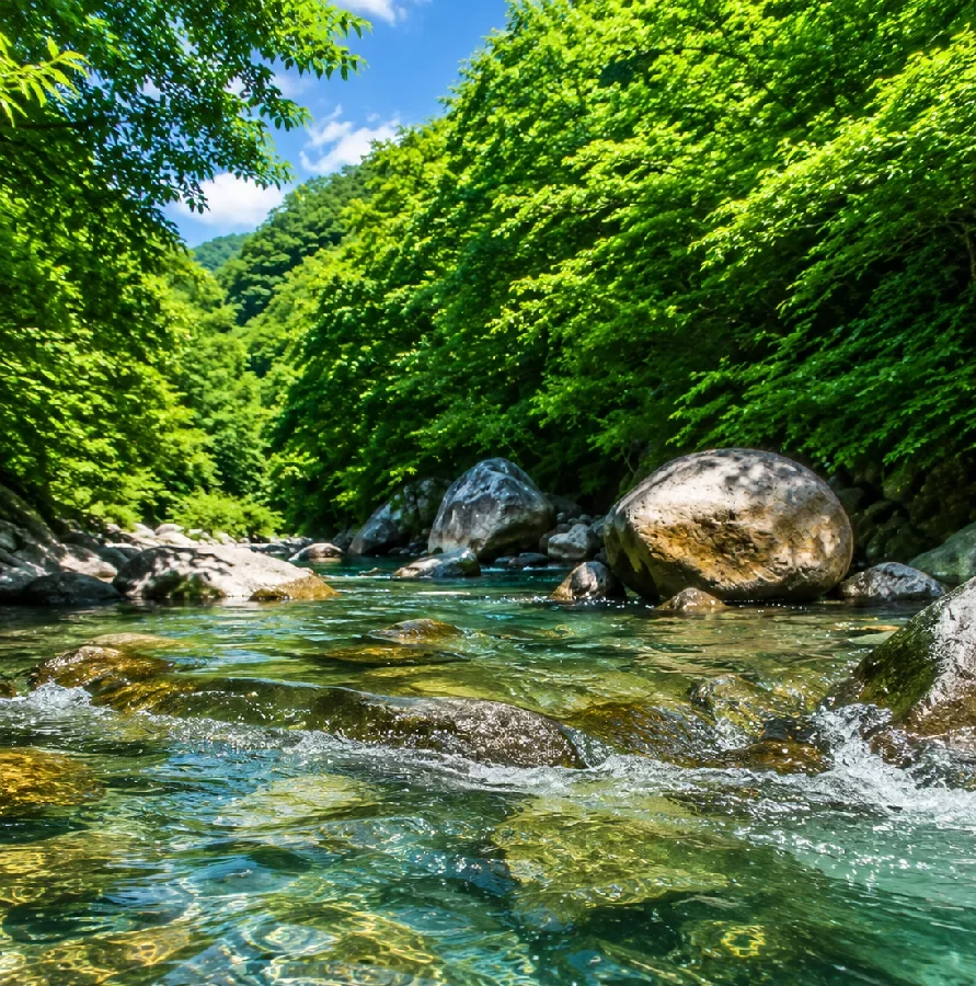 与田切川御座松