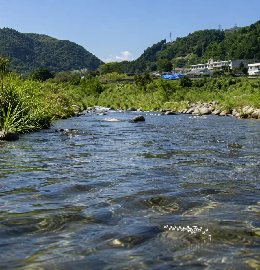 笹子川法雲寺橋周辺