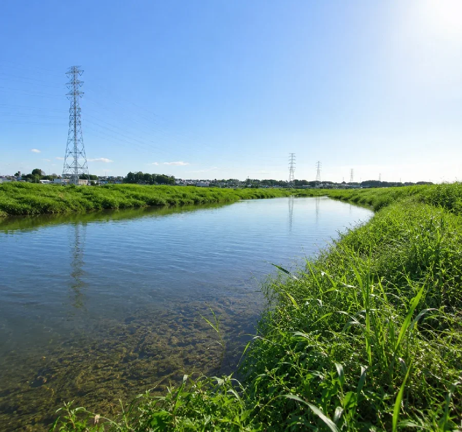 恋瀬川府中橋周辺