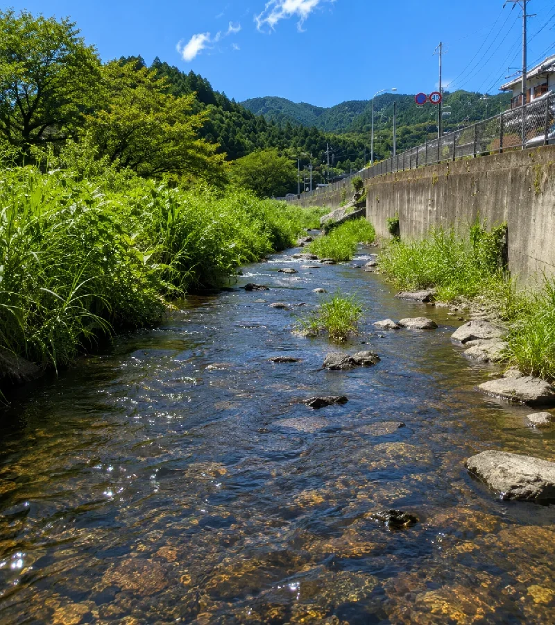 高麗川たいら栗園付近