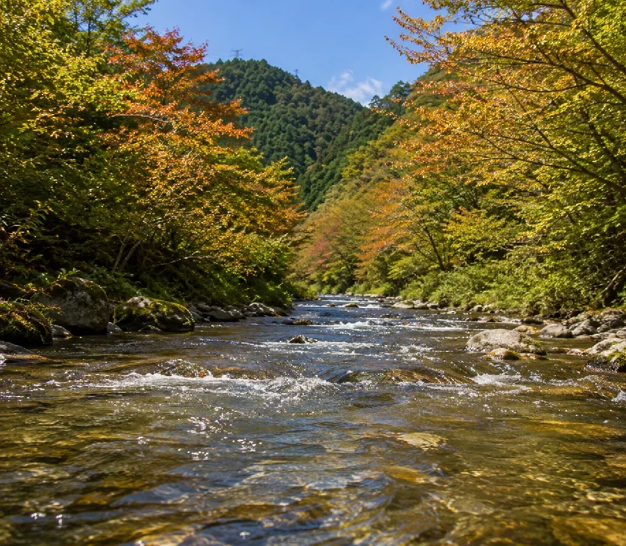 小菅川余沢橋付近