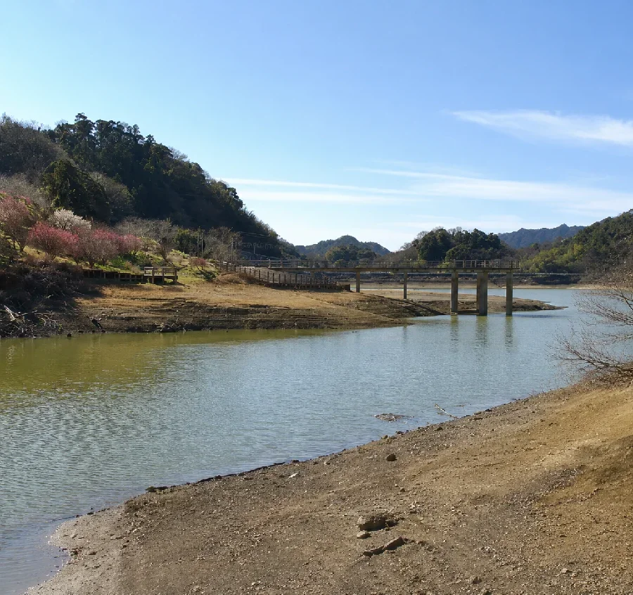 佐久間ダムお花見広場前