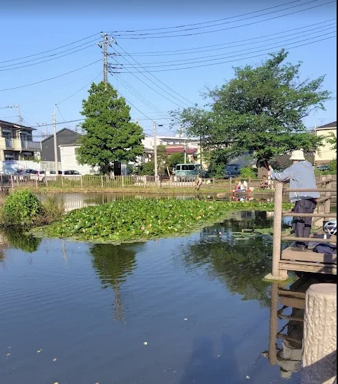 白幡池デッキで釣りをする人