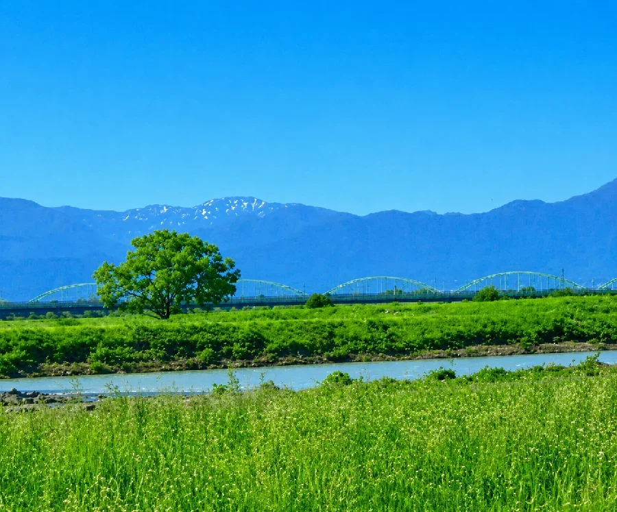 阿賀野川沢海床固周辺
