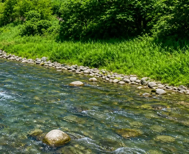 朝日川河川公園付近