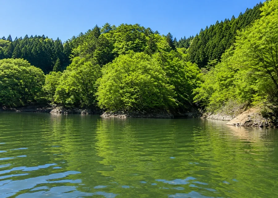 梅田湖皆沢