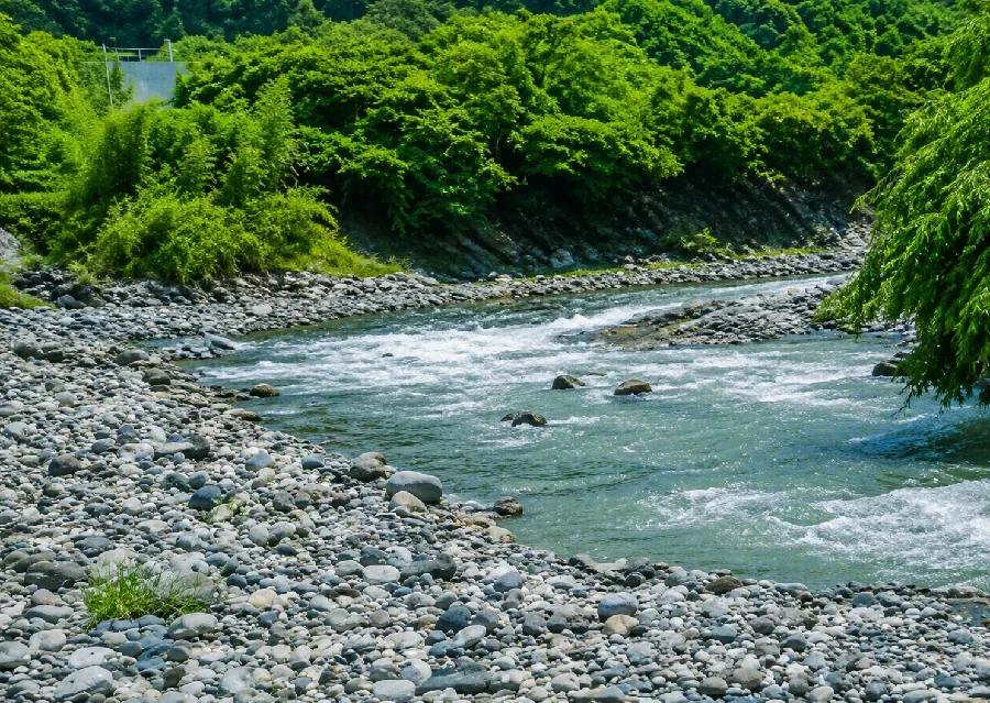 酒匂川山北堰堤付近