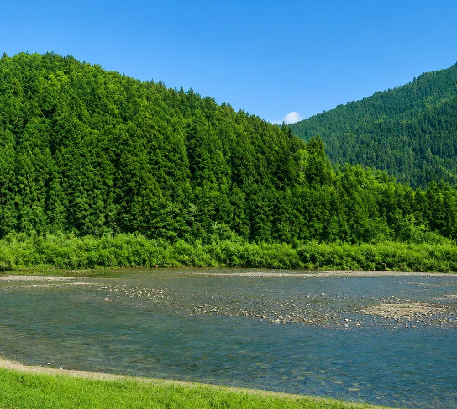 三和湖ワンド