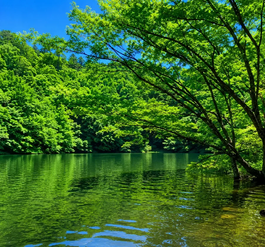 三河湖腰掛けワンド