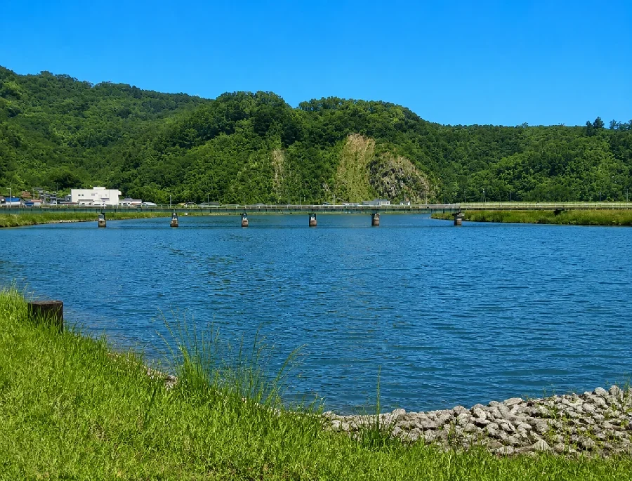 真野川水門付近の旧北上川