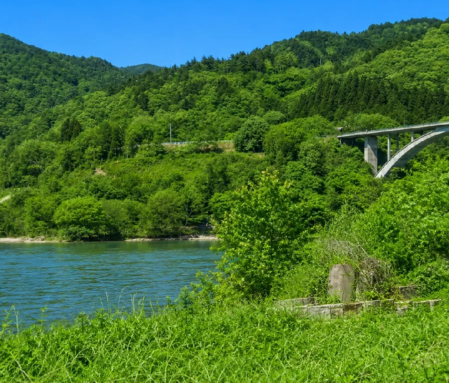 荒川丸山大橋周辺
