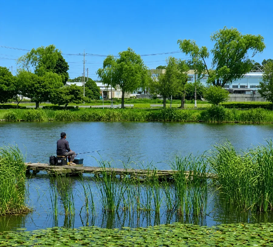 近藤沼西沼桟橋