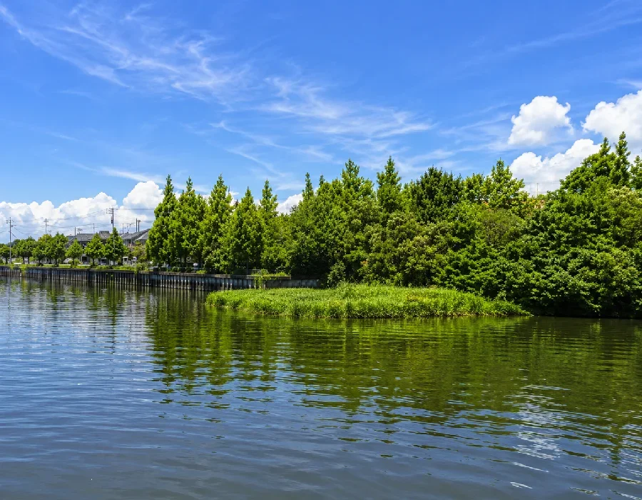 将監川布鎌大橋周辺