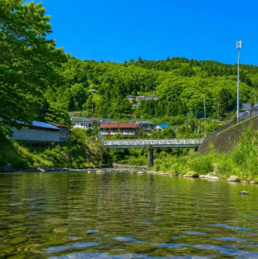 鮎沢川新千束橋周辺