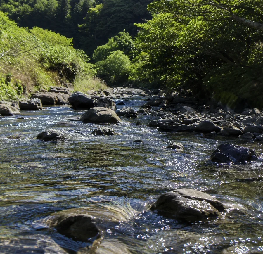 仁科川西伊豆オートキャンプ場付近