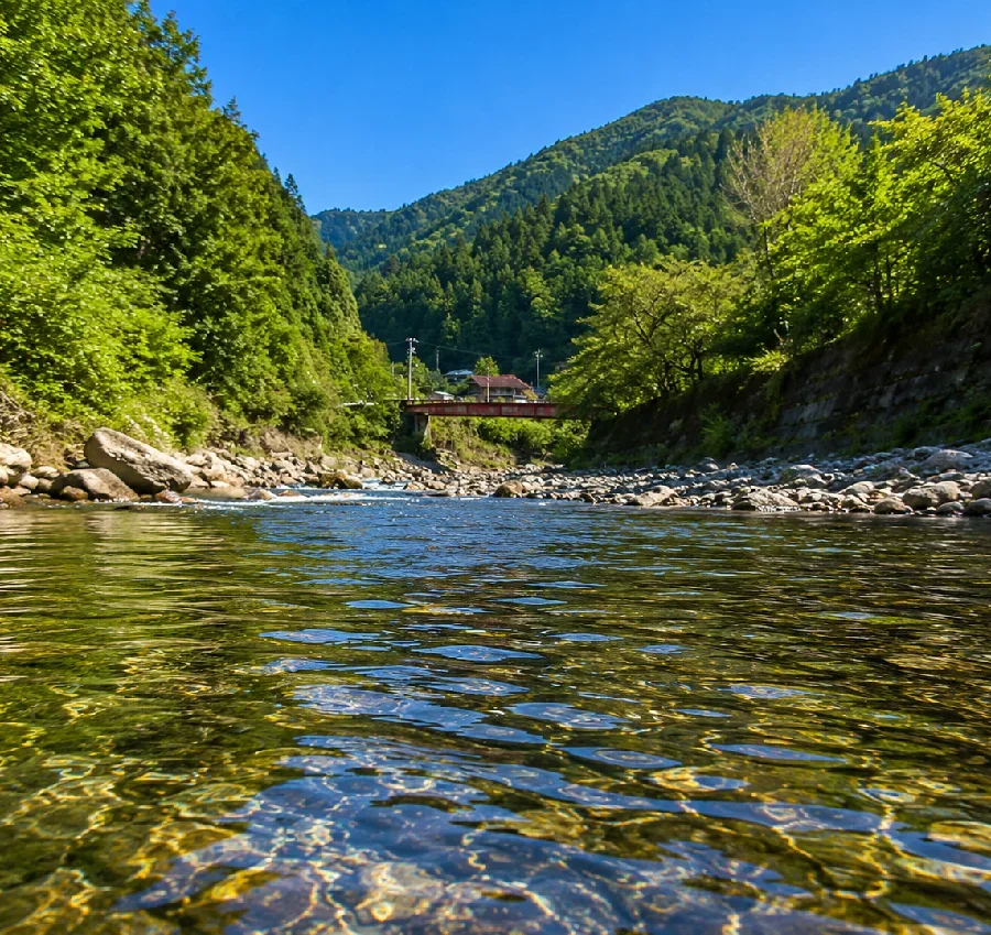 寒狭川道の駅したら周辺