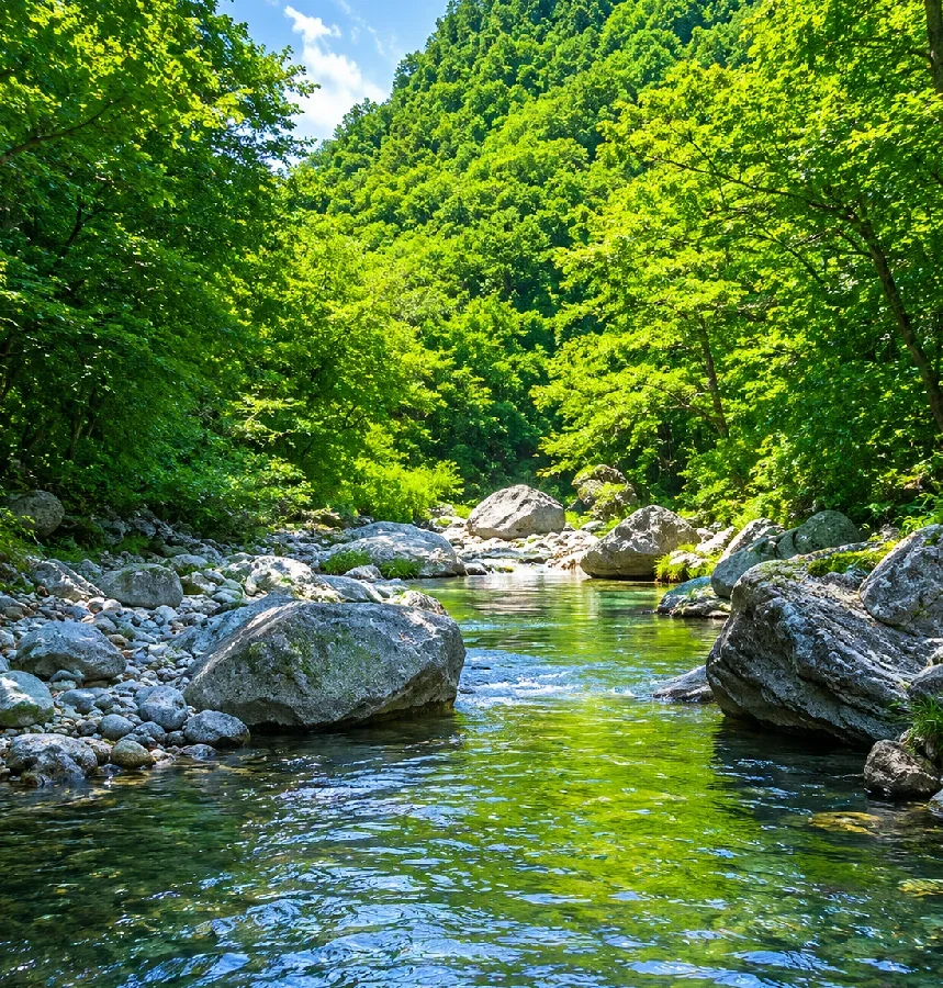 鳴沢の滝周辺