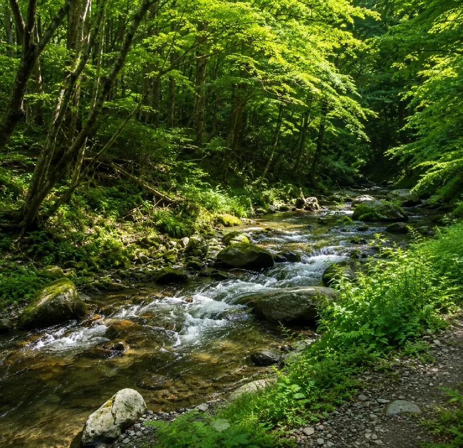 花園川二条橋周辺
