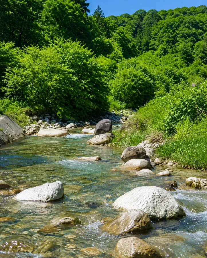 阿智川キャンプ場付近