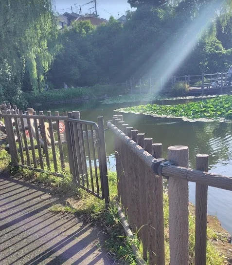 白幡池東側