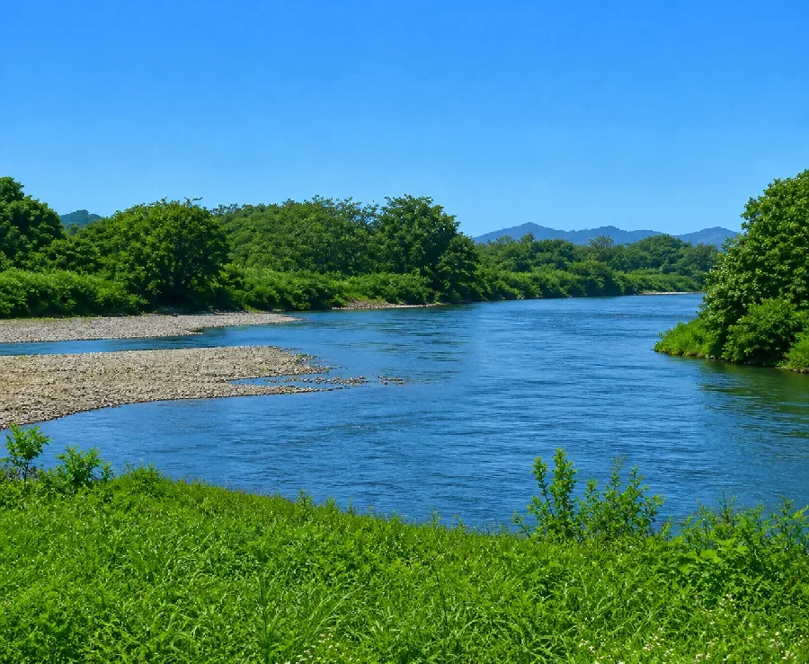 最上川白川合流点付近