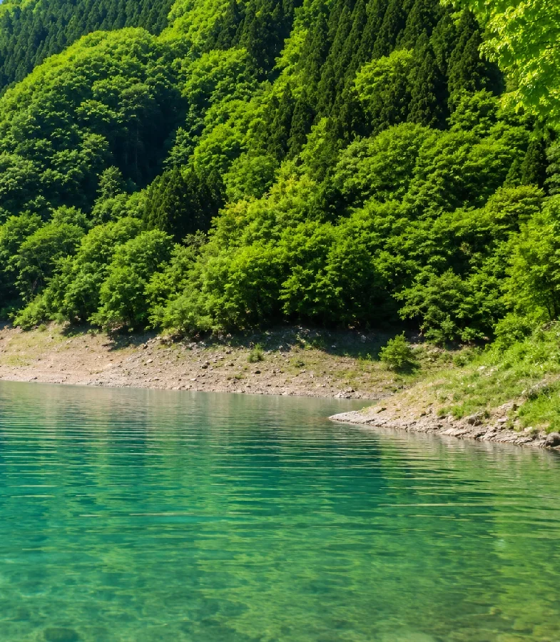 神流湖大栃ワンド入口