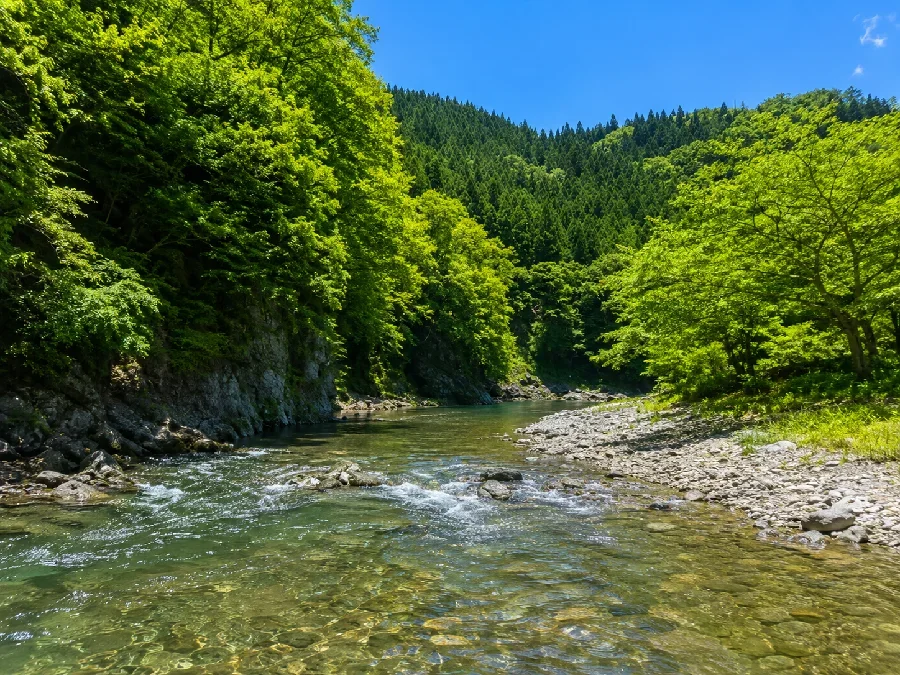神流川伝田郷橋周辺